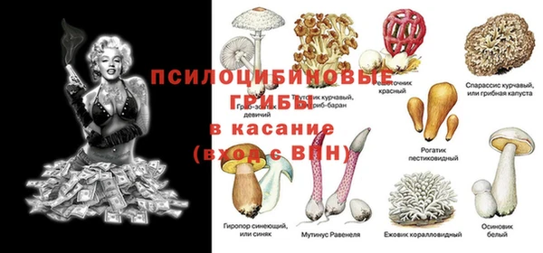 ГАЛЛЮЦИНОГЕННЫЕ ГРИБЫ Белоозёрский